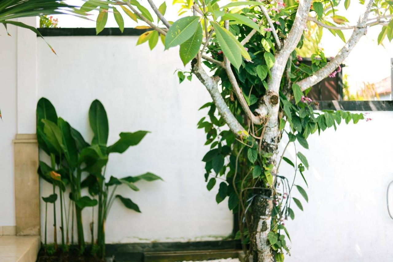 Adi Guest House Canggu Buitenkant foto