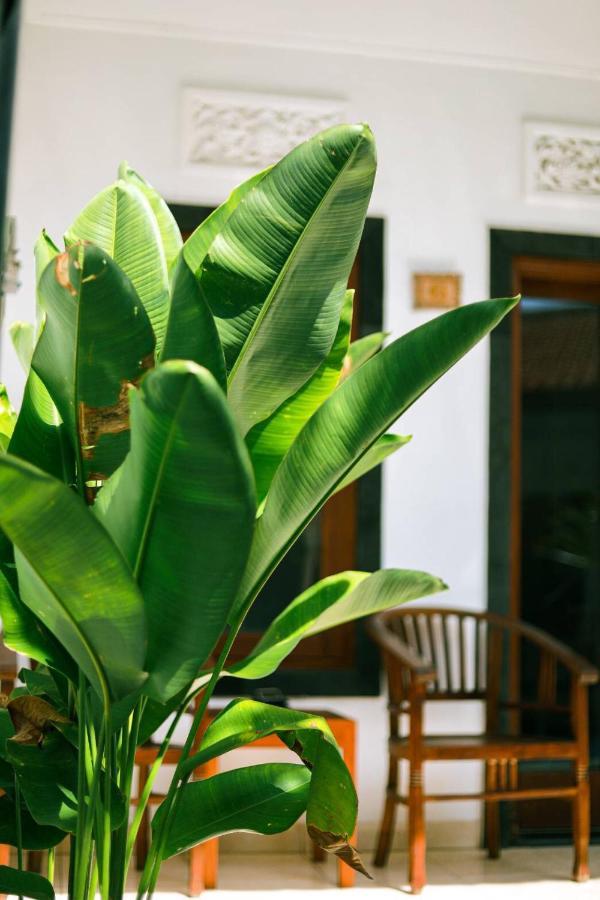 Adi Guest House Canggu Buitenkant foto